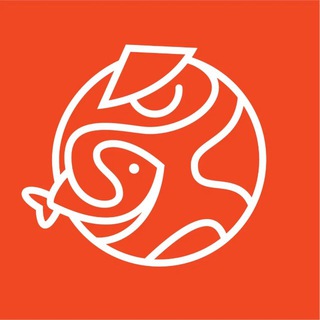 Telegram Tips