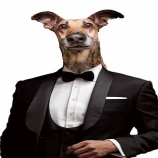 Telegram Tips