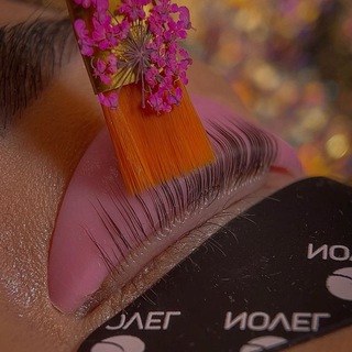 NICE BROWS