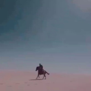 Telegram Tips