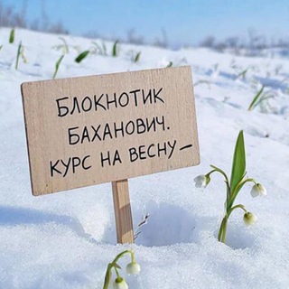 БЛОКНОТИК БАХАНОВИЧ