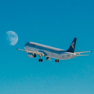 Telegram Tips