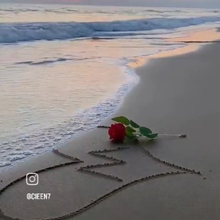 Telegram Tips