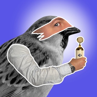 Telegram Tips