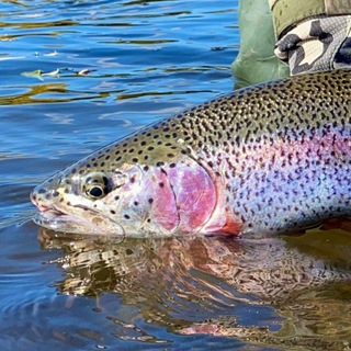 KAMFISHING- РЫБАЛКА И ТУРИЗМ НА КАМЧАТКЕ