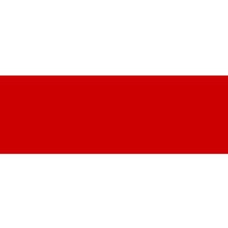 БЕЛАРУСЬ СЕГОДНЯ