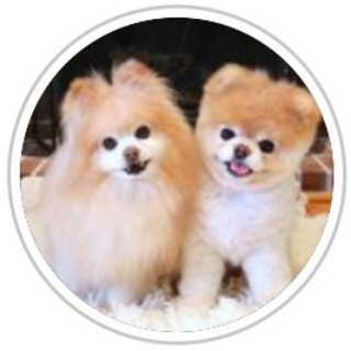 Telegram Tips
