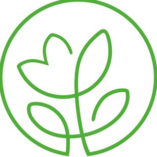 CREDO FLOWERS