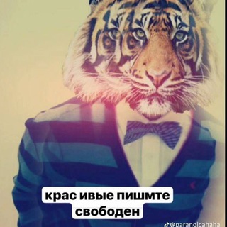 СИГАРЕТЫ САДОВОД