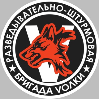 1-Я ДРШБР «ВОЛК»