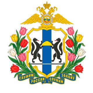 MVD_54