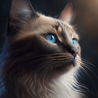 КОТЛАНДИЯ