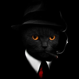 Telegram Tips