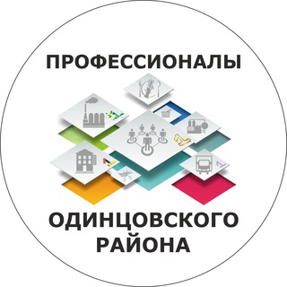 ПРОФЕССИОНАЛЫ ОДИНЦОВО