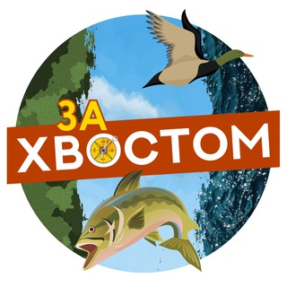 ЧАТ ЗА ХВОСТОМ