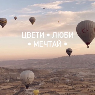 Telegram Tips
