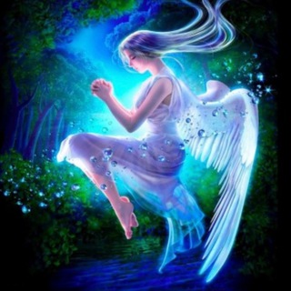 Telegram Tips