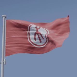 Telegram Tips