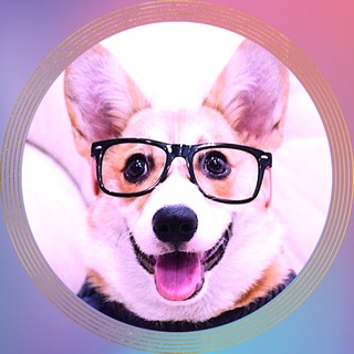 Telegram Tips