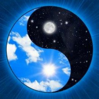 Telegram Tips