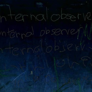 INTERNAL OBSERVER