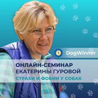 Telegram Tips