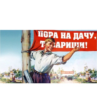 Telegram Tips