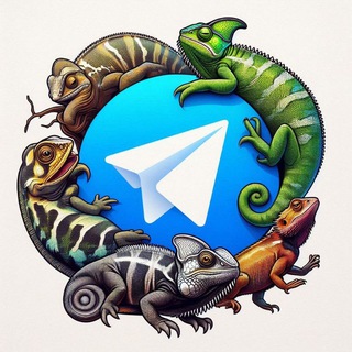 Telegram Tips