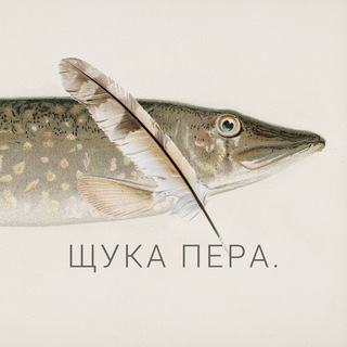ЭТО ЩУКИН