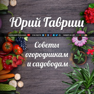 ДАЧА: СОВЕТЫ ОГОРОДНИКАМ И САДОВОДАМ