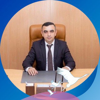 Telegram Tips