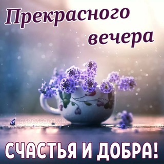Telegram Tips