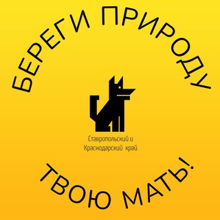 Telegram Tips