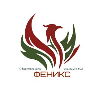 ПРИЮТ «ФЕНИКС» Г.АЗОВ