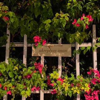 УКРЕПЛЯЙ