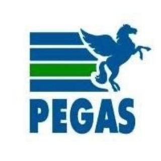 ГОРЯЩИЕ ТУРЫ/PEGAS TOURISTIK 