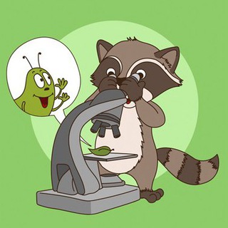 Telegram Tips