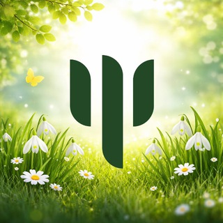 Telegram Tips