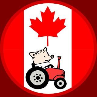 Telegram Tips