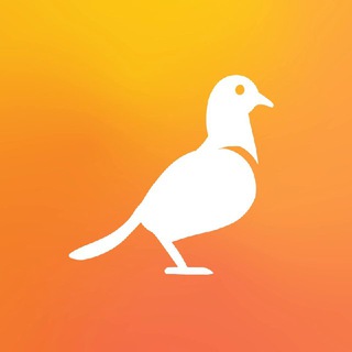 Telegram Tips
