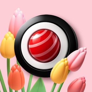 Telegram Tips