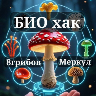 AMANITA GLOBAL -  МУХОМОРЬЕ ДЛЯ ЗДОРОВЬЯ  МЕРКУЛ МАХАМАР
