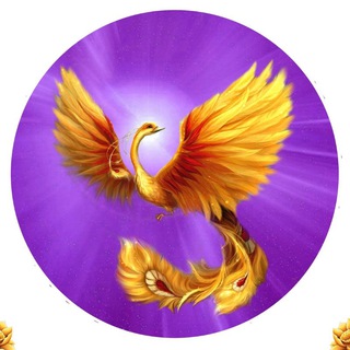 Telegram Tips
