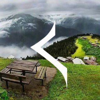 Telegram Tips