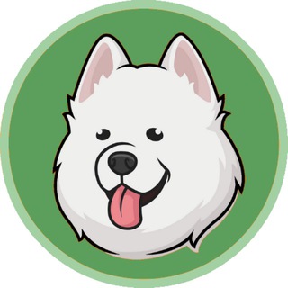 Telegram Tips
