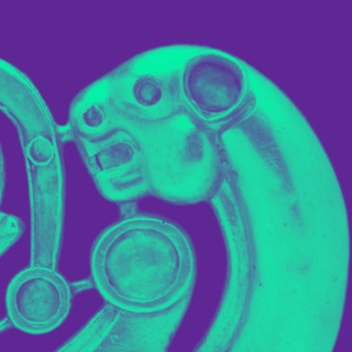 Telegram Tips