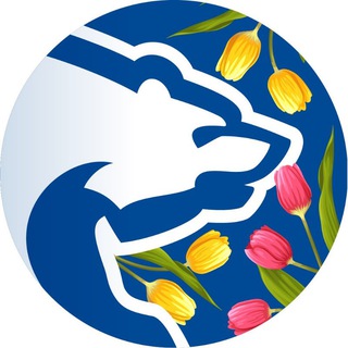 Telegram Tips