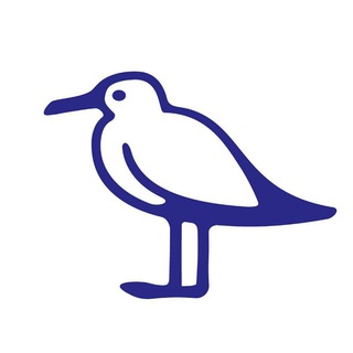 Telegram Tips