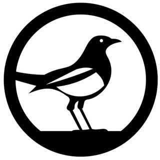Telegram Tips
