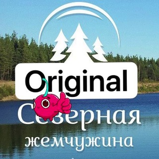 Telegram Tips